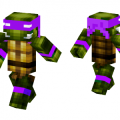 dony-ninja-turtle-skin-1044233.png