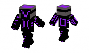 Purple Knight Skin