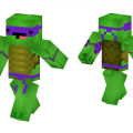 teenage-mutant-ninja-turtle-skin-8040971.png