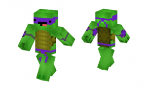 Teenage Mutant Ninja Turtle Skin